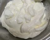 初心者さんでも簡単☆フローズンヨーグルト作り方8写真