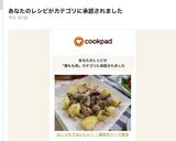 おしゃれでおいしい！！鶏肉のハーブ焼き作り方11写真