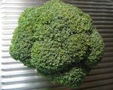 これで長持ち！ブロッコリーの冷蔵保存法作り方3写真