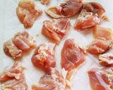 【ソルティレモン味】サクサク鶏の塩唐揚げ作り方1写真