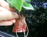 可愛いよ☆さつま芋ちゃんの葉っぱ作り方4写真
