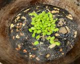 ひじきの旨煮作り方4写真