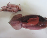 色とりどり野菜とイカの生姜醤油作り方1写真
