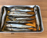 ⭐️ししゃもの焼き方作り方1写真
