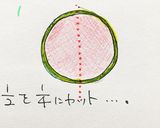冷凍スイカブロック作り方1写真