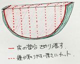 冷凍スイカブロック作り方3写真