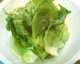 豚ひき肉の生春巻き作り方5写真