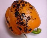 とろりーん☆王様のラタトゥーユ作り方2写真
