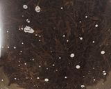 麺つゆでひじき煮を作ろう♪作り方1写真
