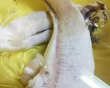 簡単！臭くならない鮭の白子の下処理♪作り方5写真