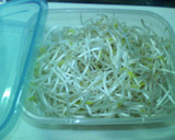 簡単３分！もやしの中華風おひたし作り方1写真