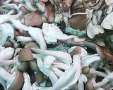 マグロのムニエルきのこ添え作り方4写真