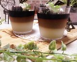ミルク♡カフェオレ♡コーヒーグラデゼリー作り方12写真