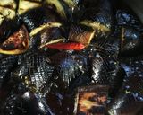味付け簡単♪ナス南蛮作り方2写真