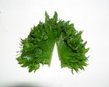 薬味たっぷりのユッケ丼作り方2写真