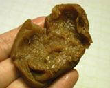 タネなし干し梅作り方6写真