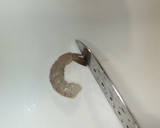 えびとほうれん草の簡単味噌炒め♪作り方3写真