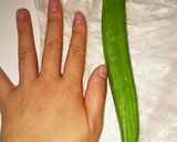 あっという間！オクラまるごと春巻き作り方1写真