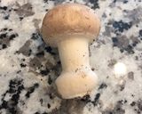 夫の作る超美味しい絶品ミートソース作り方2写真