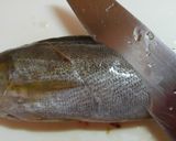 カリッフワ♪いさきのハーブ焼作り方1写真