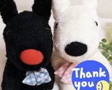 濃厚☆ニューヨークチーズケーキ作り方22写真