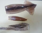 イカの丸ごとバターわた煮作り方3写真