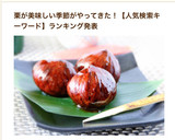 茶華道教授より伝授✿懐石料理の栗の渋皮煮作り方20写真