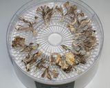 ヨーグルト戻し☆乾燥きのこで炊き込みご飯作り方10写真