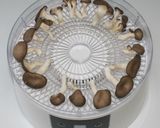 ヨーグルト戻し☆乾燥きのこで炊き込みご飯作り方5写真