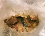 シンプルでウマイ♡秋刀魚の竜田揚げ★作り方5写真