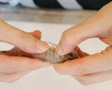 ネブトのから揚げ作り方1写真