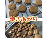 コーヒークッキー作り方16写真
