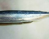 簡単＆煙くならない！旬の秋刀魚DE湯煮♪作り方2写真