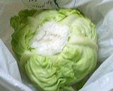 キャベツ1玉を長持ちさせる方法作り方4写真