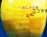 獣王ジャー☆エレファント 簡単青林檎で作り方3写真