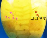 獣王ジャー☆エレファント 簡単青林檎で作り方4写真