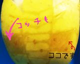 獣王ジャー☆エレファント 簡単青林檎で作り方5写真