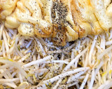 ５分で簡単！もやしと油揚げの炒め物作り方2写真