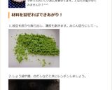 ワサビてんこ盛り?!ビックリ冷奴(温奴)作り方18写真
