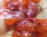 いくらの醤油漬けを作ろう!作り方3写真