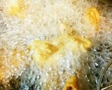 揚げ茄子とトマトのピリ辛油淋鶏作り方5写真