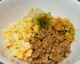 犬ご飯　ビビンバ風作り方5写真