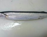 ～秋刀魚の下処理のやり方～作り方2写真