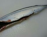 ～秋刀魚の下処理のやり方～作り方6写真