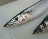 ～秋刀魚の下処理のやり方～作り方1写真