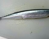 秋刀魚の塩焼き作り方1写真