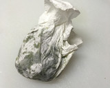 タコとワカメときゅうりの酢の物 15分作り方9写真