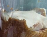 簡単！誰にでも失敗なしの手作り味噌作り方53写真