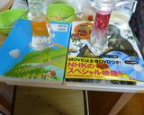 子供とお出かけサンド（タマゴ＆和風ツナ）作り方13写真