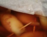 ちっちゃい☆いかめし☆作り方3写真